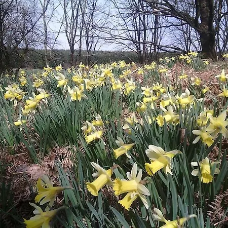 Apartment Les 7 Frenes