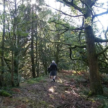 Apartment Les 7 Frenes *