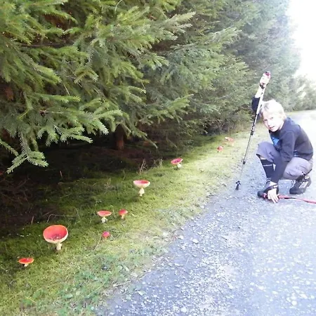Les 7 Frenes Apartment