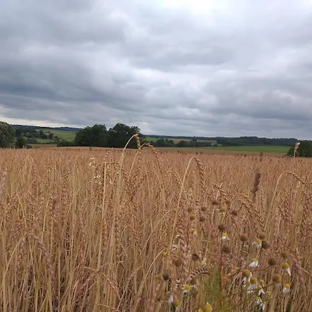 Les 7 Frenes Apartment Vaux-sur-Sure