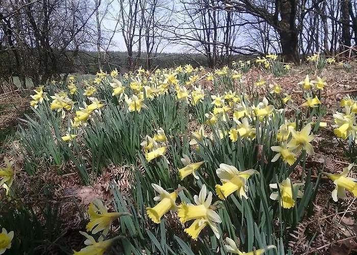 Appartement Les 7 Frenes