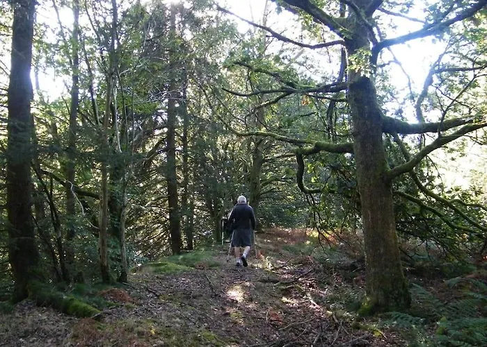 Appartement Les 7 Frenes *