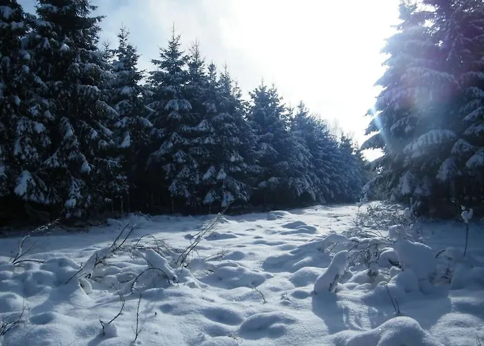 Les 7 Frenes Apartment