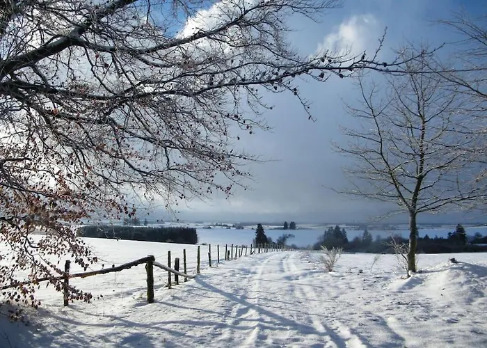 Apartment Les 7 Frenes