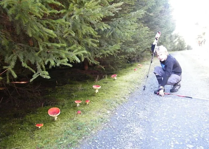 Les 7 Frenes Apartment