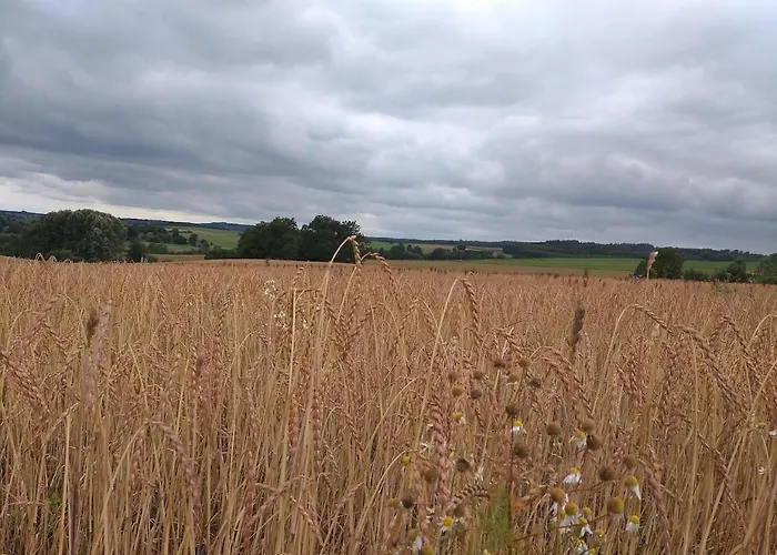 Les 7 Frenes דירה Vaux-sur-Sure
